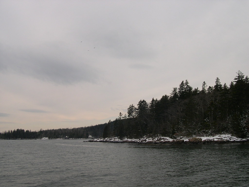 2778833_06f2919f08_b.jpg