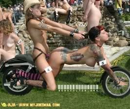 humpday65576.jpg