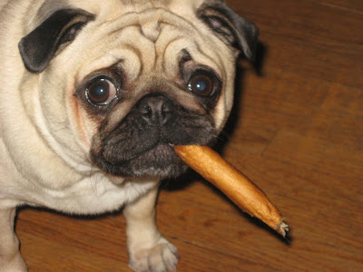 cigar+smoker