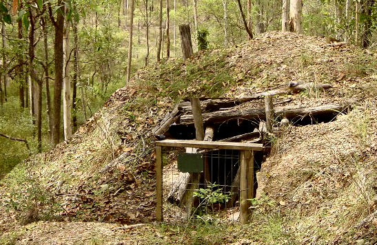 bunker3smn.jpg