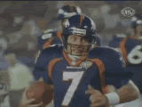ElwayHelicopter3.gif
