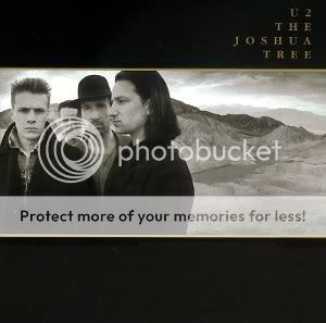 joshuatree.jpg