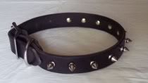 collar.jpg