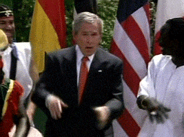 bush1.gif