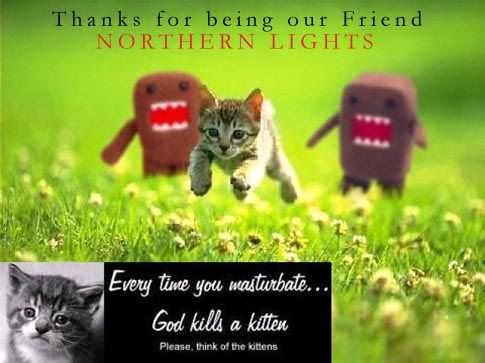 kittenpic.jpg