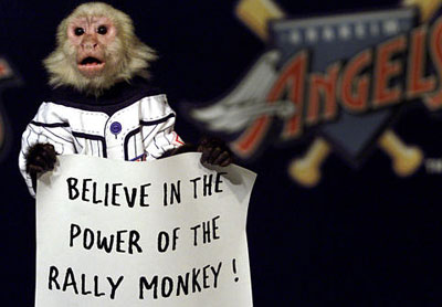 rally_monkey.jpg