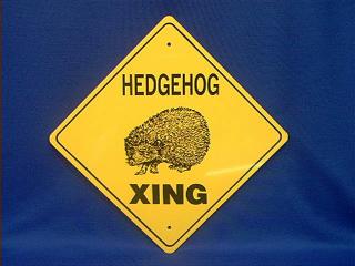 hedgehogcrossing.JPG