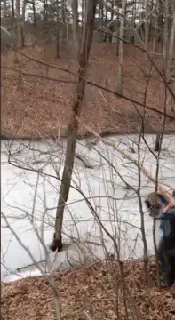 A6Ks5uT.gif