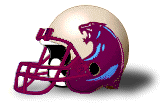 USFL_Panthers1.gif