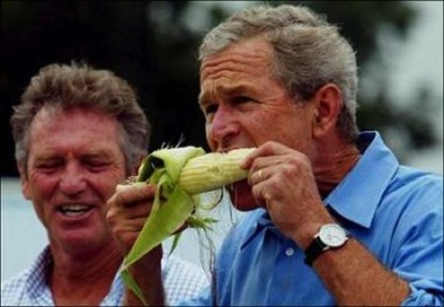 raw-corn.jpg