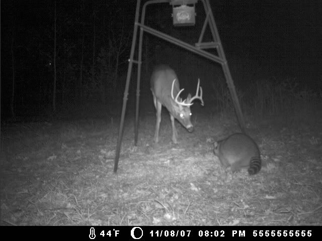 trailcam_nov102007005.jpg