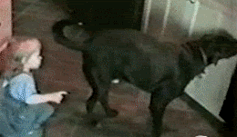 finger-1.gif