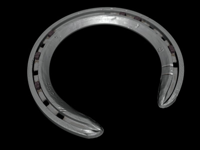 horseshoe-small.jpg