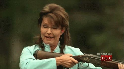 palinanimated.gif