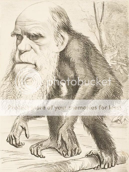 Darwin_ape.jpg