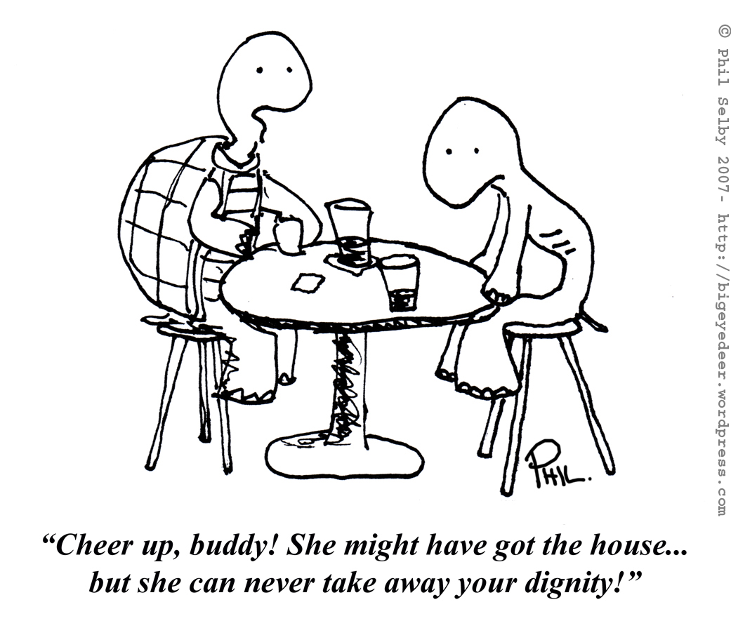 turtle-divorce1.jpg