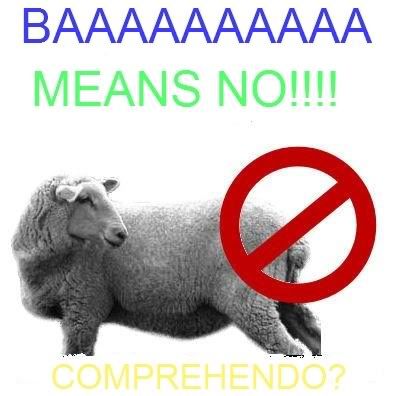 BAAAAA.jpg
