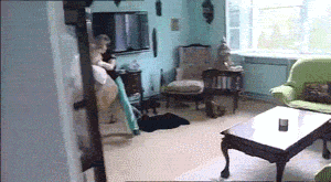 KHwAtb6.gif