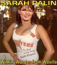 sarah-palin-winking-1.jpg
