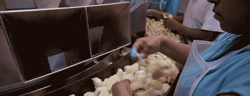 HlTh3.gif