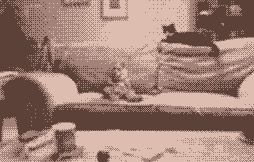 8131538e09abaafb73703f89bdd454f19122c4a.gif