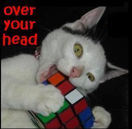 overyourhead3.jpg