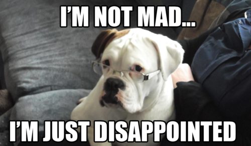 disappointed-dog.jpg