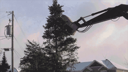 Re9LZXX.gif