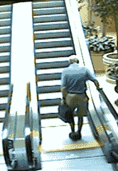 kzo66.gif