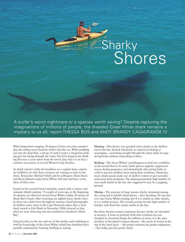 200511bigissuesharkyshores2.jpg
