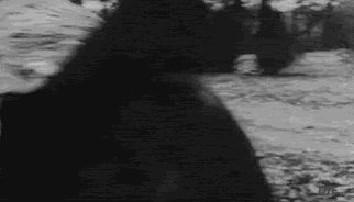 fightem3.gif