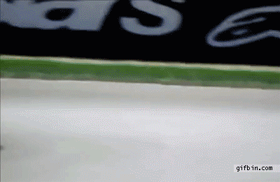 1315301610_biker_dodges_otter_on_the_racing_track.gif