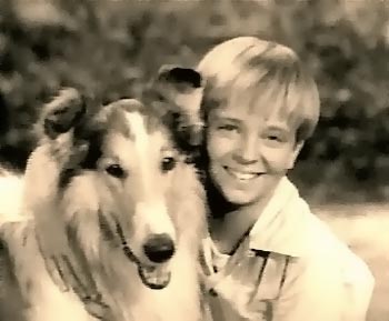 lassie3.jpg