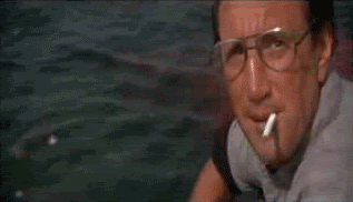 FunnyGif5.gif