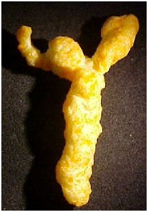 cheesusoncross2.jpg