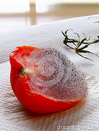mouldy-tomato-thumb4197113.jpg