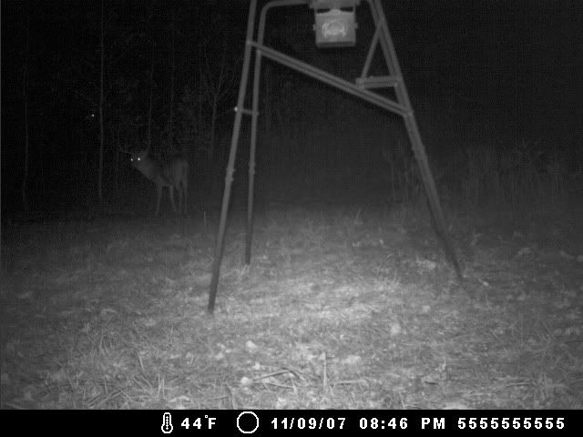 trailcam_nov102007008.jpg