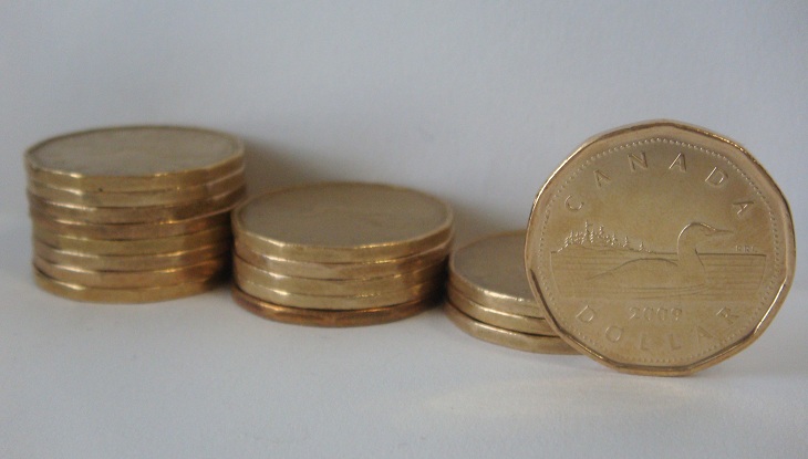 Loonies.jpg