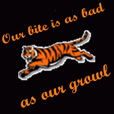 bengals_400x400.jpg