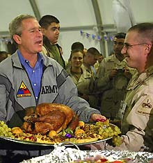 27-bush-turkey-full.jpg