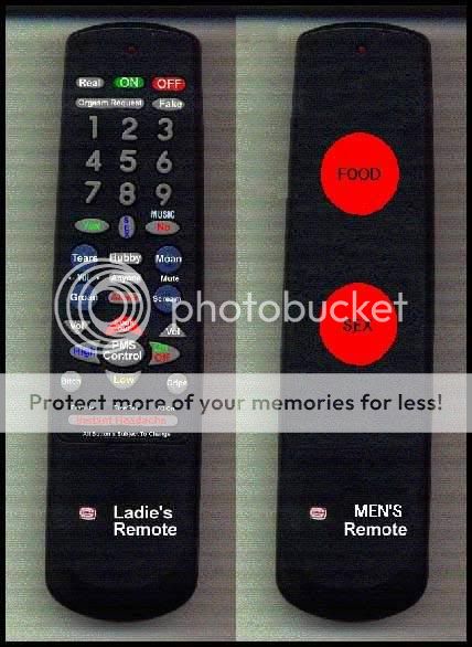 remotecontrol.jpg