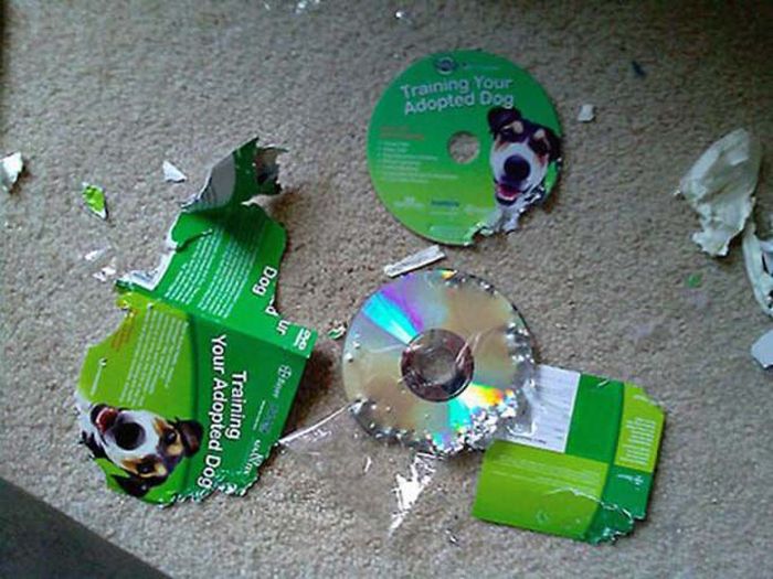 how_much_more_ironic_05.jpg