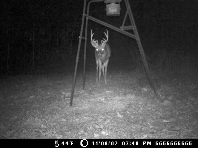 trailcam_nov102007002.jpg