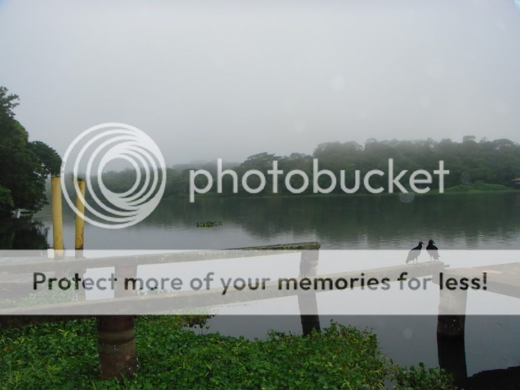 Panama043.jpg