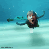 thsteveirwin.gif