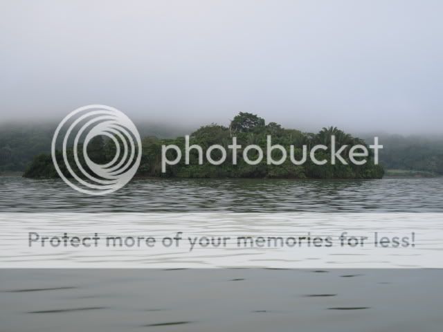 IMG_0784.jpg