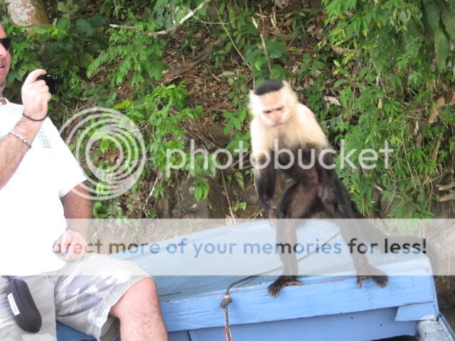 IMG_0811.jpg