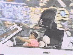 vanillaice4esmb1-1.gif
