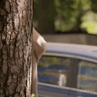 Spying The Cw GIF Spying The Cw GIF